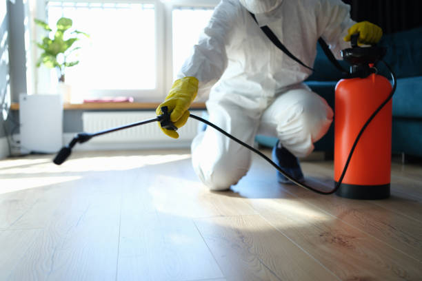 Reliable Odor Removal contractor in Bridgewater, SD by Trauma Clean Pros